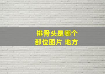 排骨头是哪个部位图片 地方